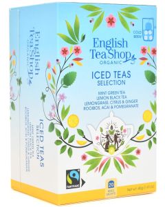 Ice Teas selectie (20 theezakjes)
